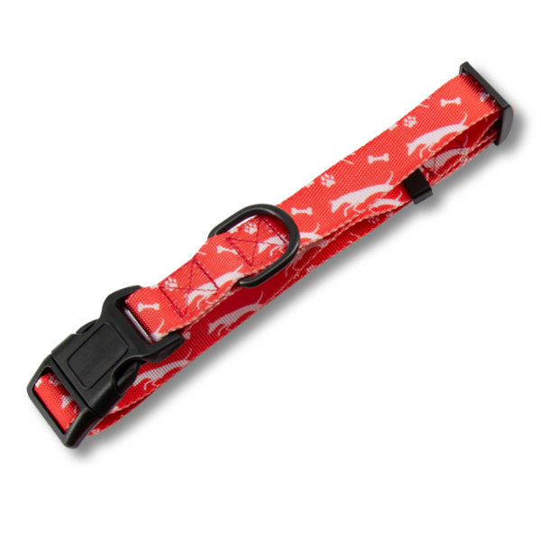 Pet Accessories Thumbnail